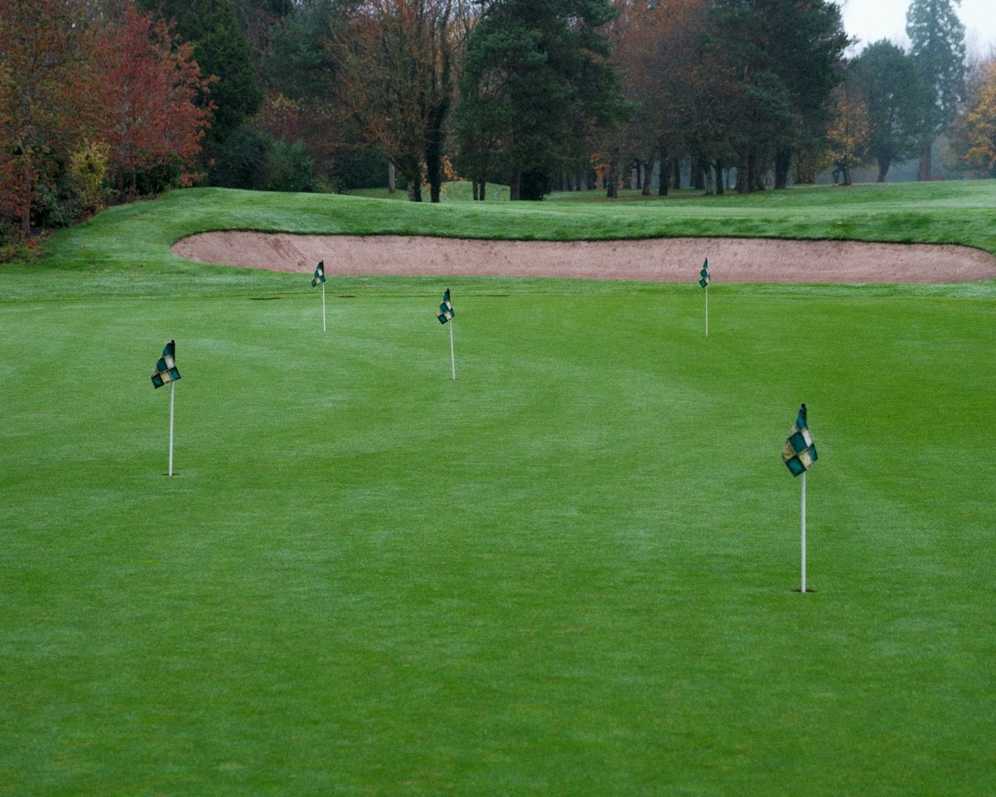 A golf green with flags