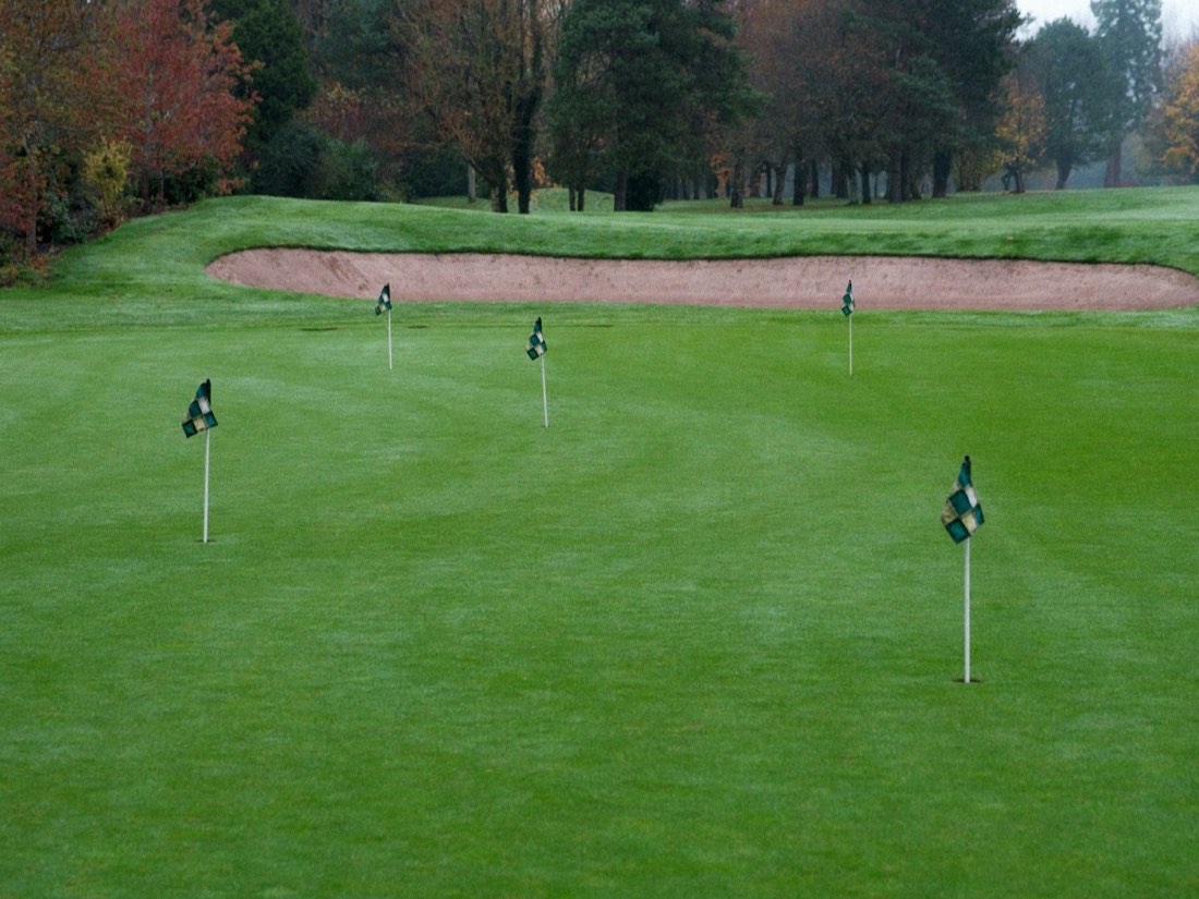 A golf green with flags